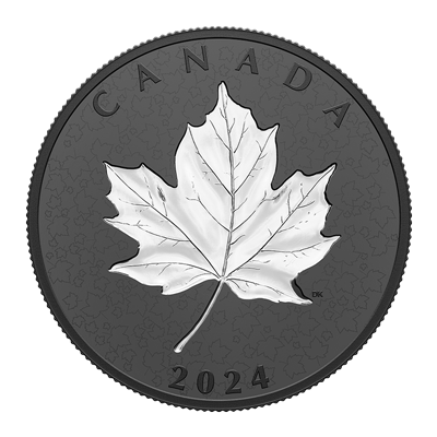 A picture of a 2024 $50 Fine Silver Coin - Maple Leaves In Motion